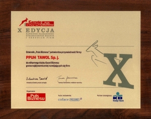 Certyfikat - Gazele Biznesu - X Edycja